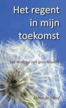 Het regent in mijn toekomst - Maria de Greef