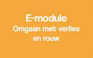 E-module (in ontwikkeling)