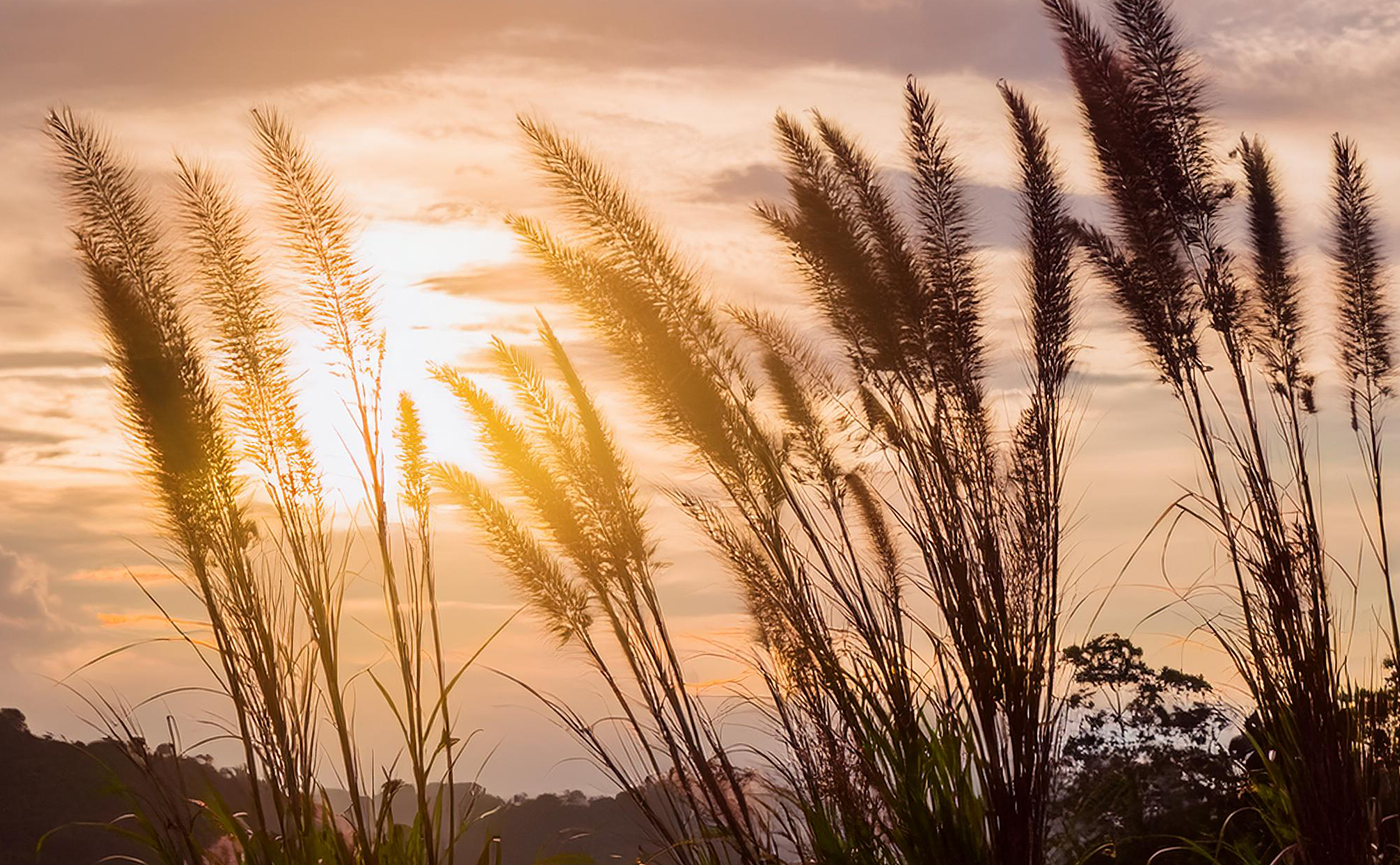 Actieve levensbeëindiging en euthanasie