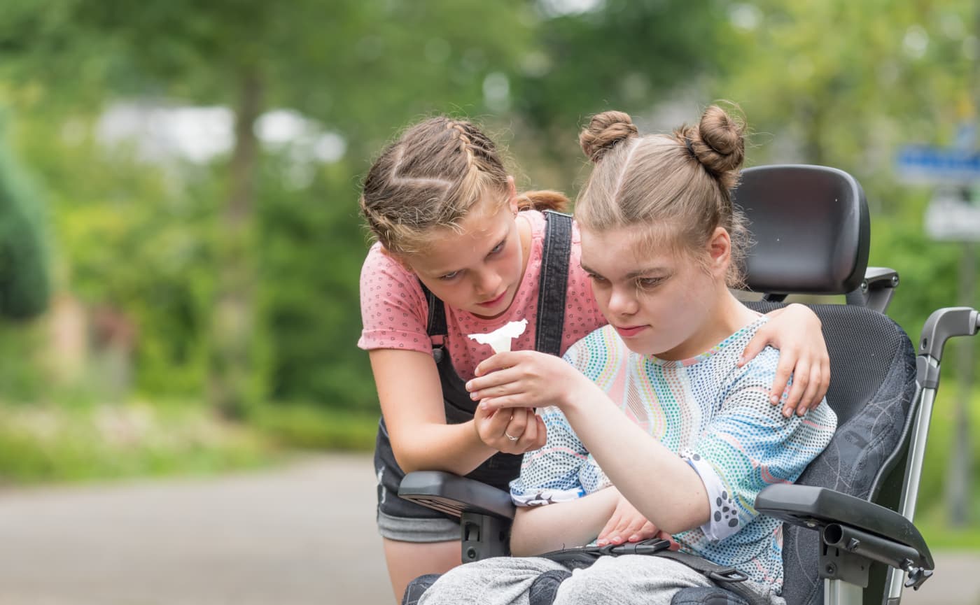 Domeinoverstijgend indiceren