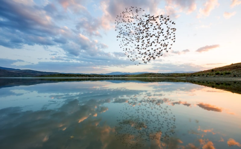 E-learning Verlies en rouw in kinderpalliatieve zorg (cursus 4)